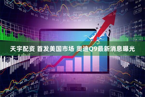 天宇配资 首发美国市场 奥迪Q9最新消息曝光